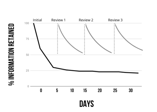 forgetting curve