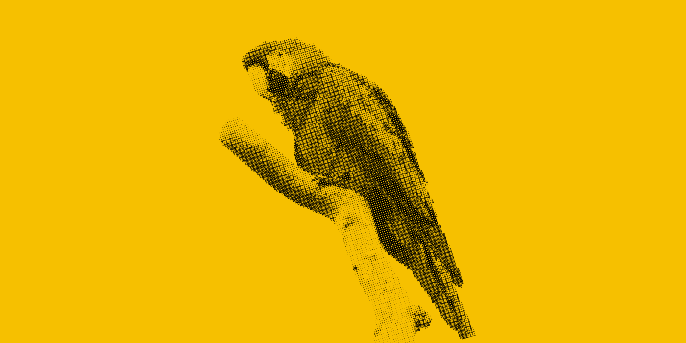 1_IHoCW8CSuadQhGNbu2e3tw